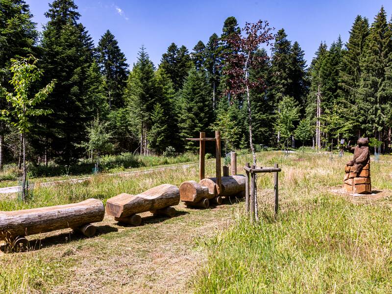 Spielzug im Wald am "Bahnhöfle"