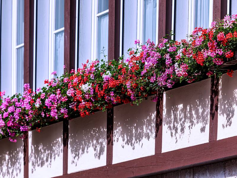 Blumenschmuck Rathaus Winzeln