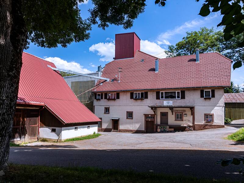 Mühle in Fluorn