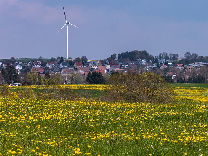 Blühende Wiese mit Windrad im Hintergrund