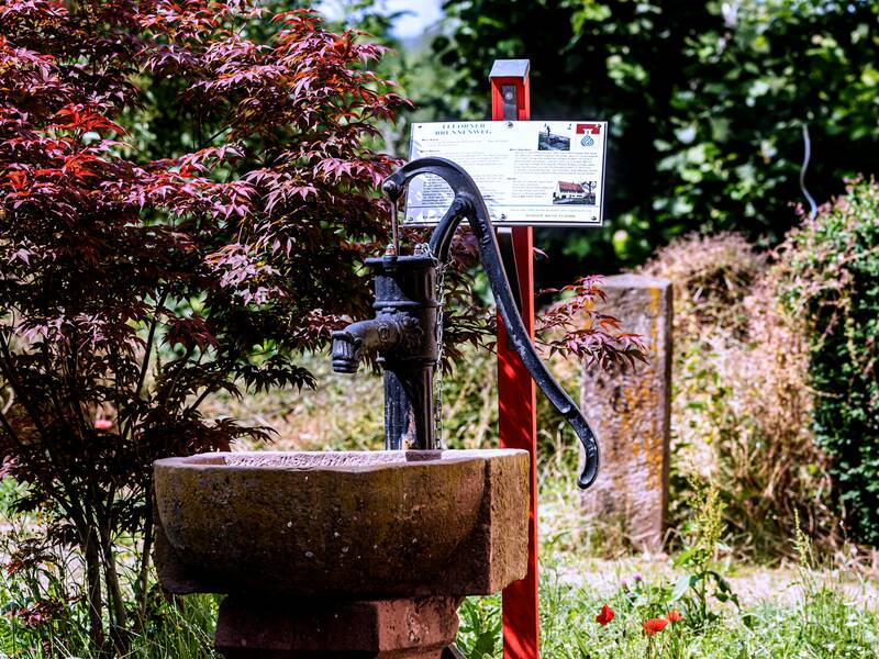 Brunnen Fluorn 