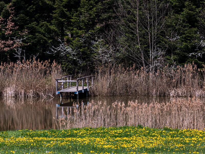 Staffelbachsee