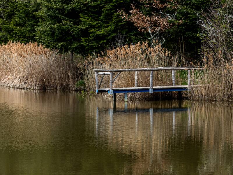 Steg am Staffelbachsee