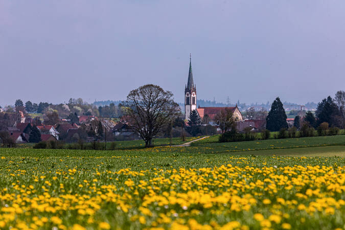 Blühende Felder vor Winzeln