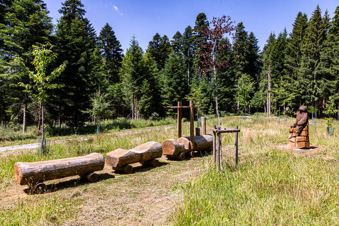 Spielzug im Wald am "Bahnhöfle" 