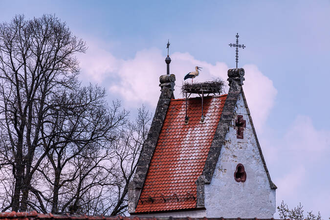 Storchennest Alte Kirche