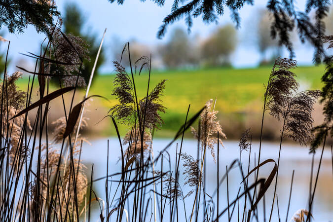 Staffelbachsee